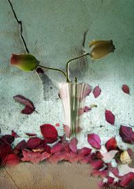 ������һ����