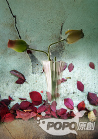 ��ʿ����Ů