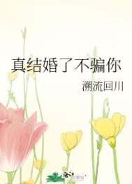 �����˲�ƭ��