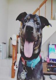 ��ҽ���´��ǹ�